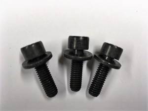 OEM VW - EGR Valve to Intake Manifold Bolt (Set of 3) (Mk4 ALH) 