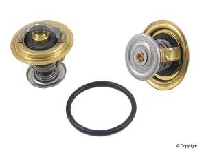 Various but Always Quality - Thermostat (Mk5 BRM)