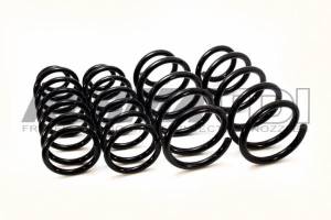 KermaTDI - Kerma TDI Spring Set Front and Rear (Mk4) - (excluding Wagon) 