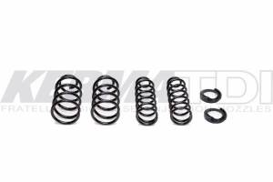 Shine Racing - Mk4 Shine Racing Real Street Spring Kit (TDI) 