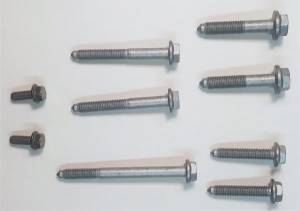 OE VW - Front Engine Mount & Bracket Bolts Set (MK4)  [LW-1]