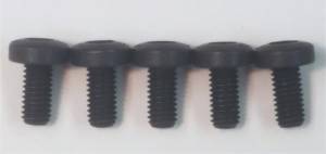 OE VW - Fuel Filter Bolt Kit (MK5) (Mk6) - Set of 5