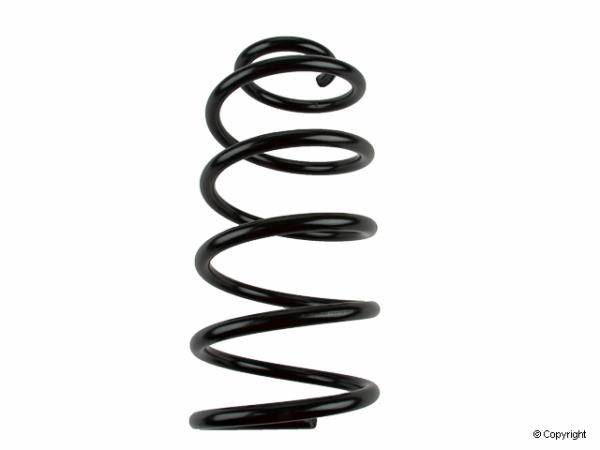 Various but Always Quality - Front Coil Spring (Mk4) 