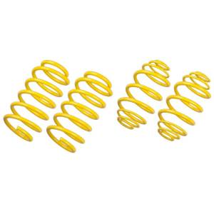 ST Spring Set for 328d (2wd)
