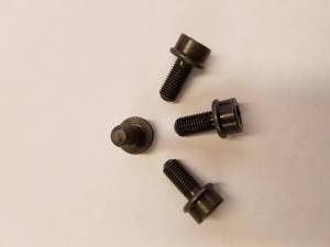 Rear Caliper-Carrier Bolt Set (4) (B4) 