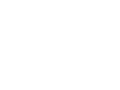 sprinter falcon